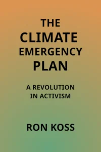 The Climate Emergency Plain in Activism