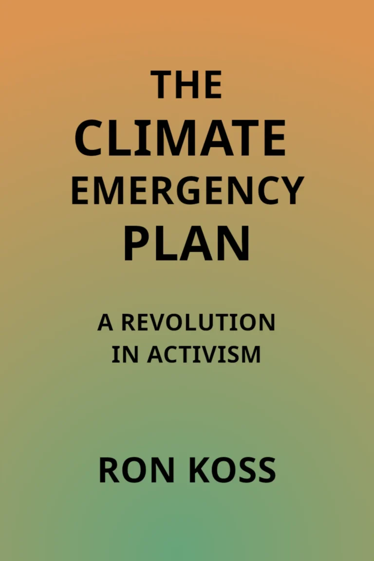 The Climate Emergency Plain in Activism